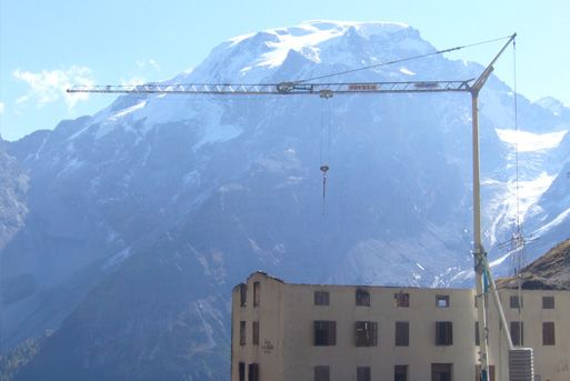 Grue Vicario devant les montagnes